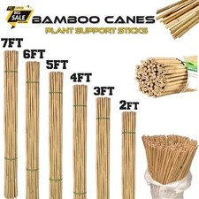 Bamboo Garden Canes Strong