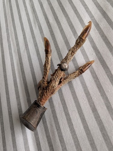 Scottish edwardian grouse foot - grouse,