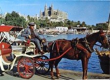 Palma de Mallorca Bahia y  Catedral Spain Picture card 10.5 x 7.5cm 