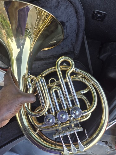 French horn with protective