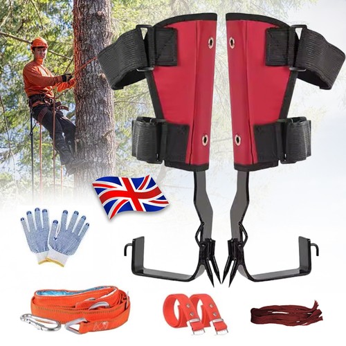 Tree climbing spike - tree, set