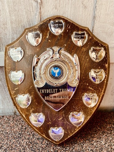 Big trophy shield 10 - trophy,