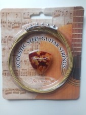 Burswood Acoustic STEEL