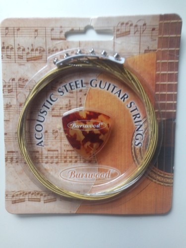 Burswood acoustic steel - acoustic,