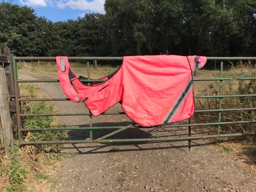 Xxlarge 7ft equisafety pink - xxlarge, ~