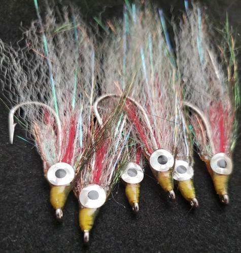 Slough anchovy minnow - slough,