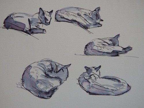 Pen ink drawing of - of, multiple
