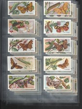 102 YEAR OLD ANTIQUE SET OF 50