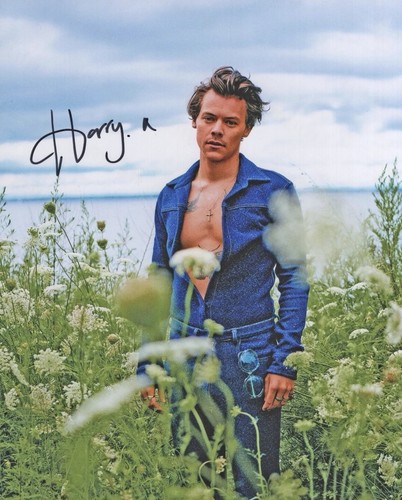 Harry styles original - styles, 10x8