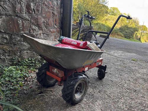 Petrol briggs stratton - petrol,