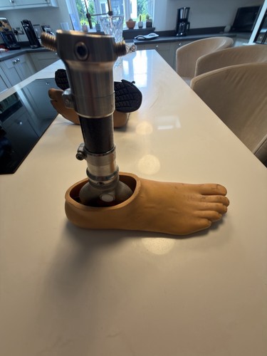 Prosthetic foot ankle assembly - prosthetic,