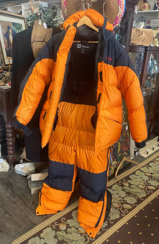 Marmot high altitude - marmot,