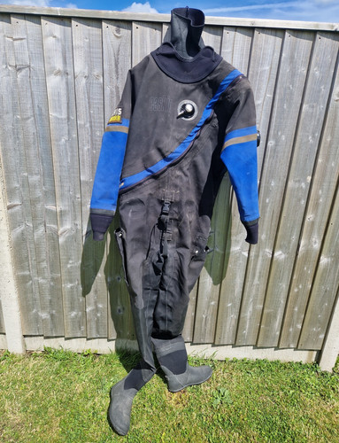 Otter men scuba diving - scuba,