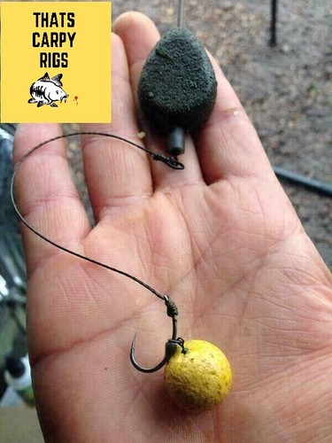 Korda style solid - solid, pva