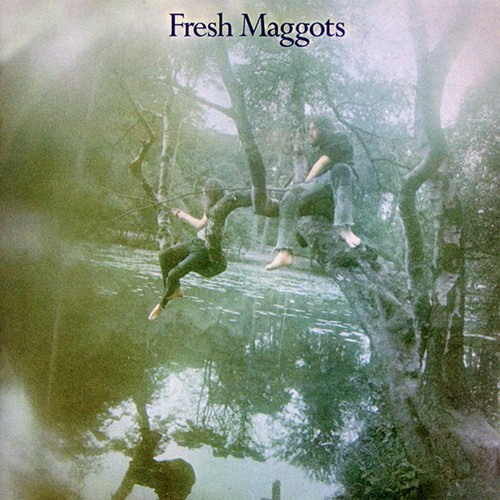 Fresh maggots - maggots,