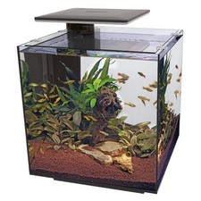 Superfish qubiq pro led - pro,