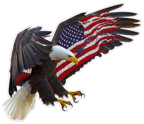 American eagle flag - eagle,