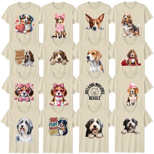 Cute dog adult - cute, beagle