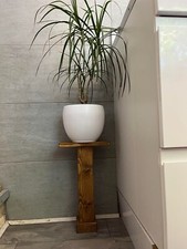 Tall Wooden Pot Stand Display