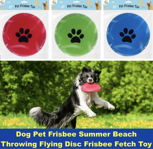 Dog pet frisbee - dog, summer