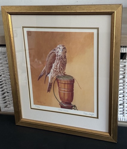 Stephen gayford saker - gayford, “saker