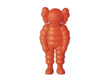 KAWS Medicom Toy #11 What