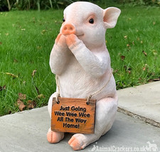 Cute 22cm Pig with 'Wee Wee