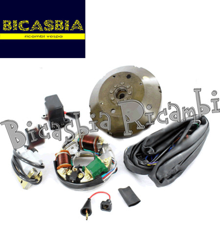 8259 stator flywheel - 8259,