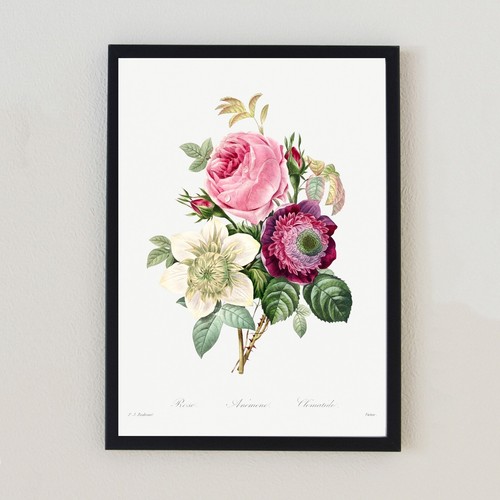 Vintage botanical rose flowers - botanical,