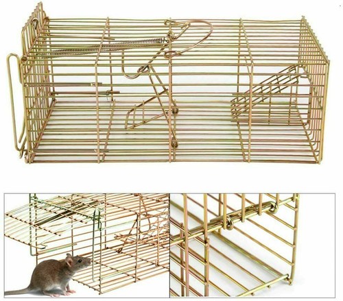 Rat trap squirrel heavy duty - squirrel,