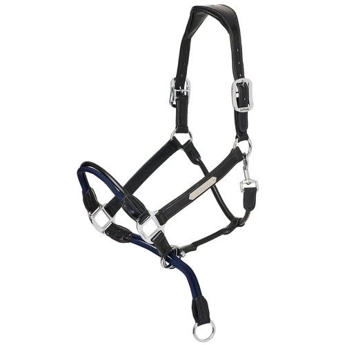 Lemieux rope control - lemieux,