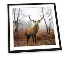 Deer Stag Highlands Brown FRAMED ART PRINT Picture Square Artwork