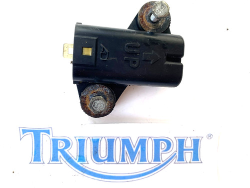 Triumph daytona 955i - triumph, ss