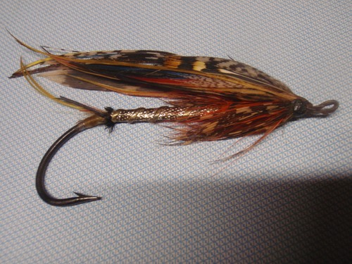 Vintage gut eyed salmon - ,