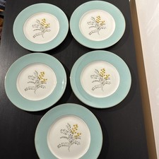 5x RIDGWAY WHITE MIST MIRAMAR