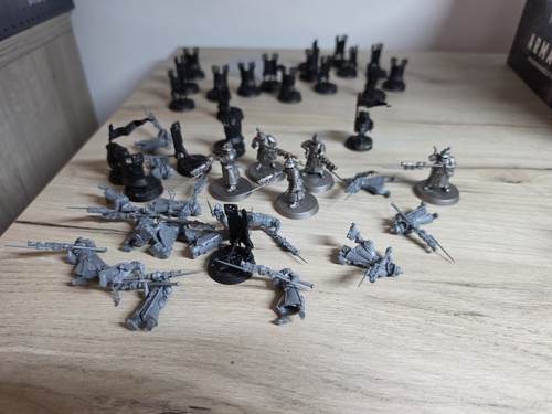 20x freeguild fusiliers - freeguild,
