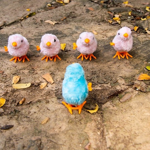 Funny hopping jumping chicken - funny,