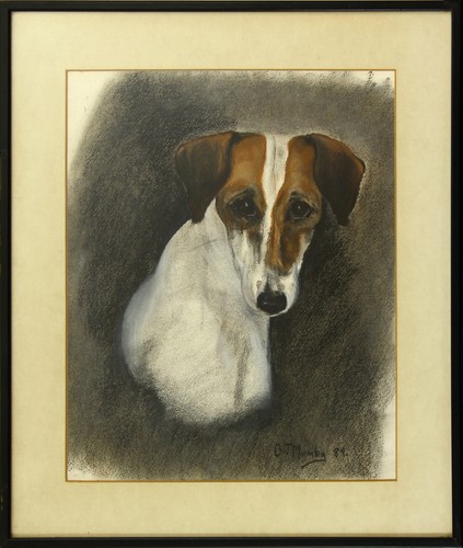 Pastel jack russell by o - pastel,