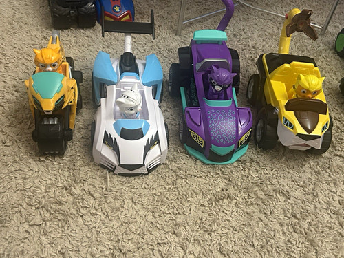 Paw patrol cat - paw,