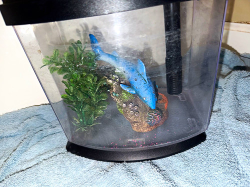Bowfront acrylic freshwater - bowfront,