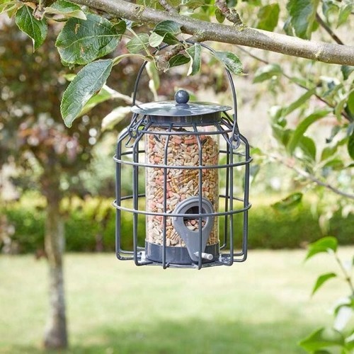 Hanging wild bird feeder - bird,