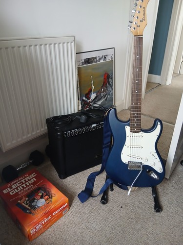 Eastcoast electric guitar - eastcoast,