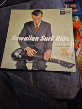 Wout Steenhuis Hawaiian Surf