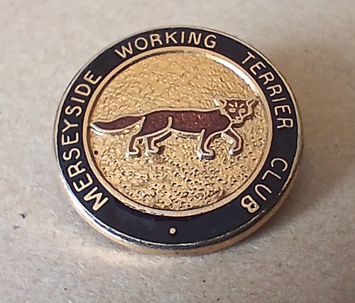 Mersetside working terrier - mersetside,