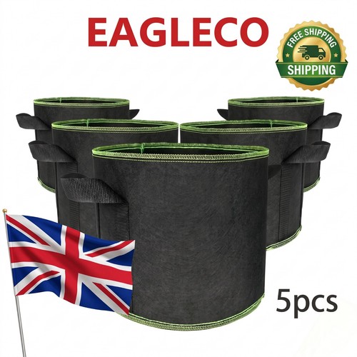 Large gallon plant - large,