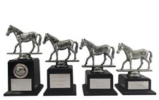 Personalised Silver Equestrian Horse Trophy Award In 4 Sizes Any Text Engraved