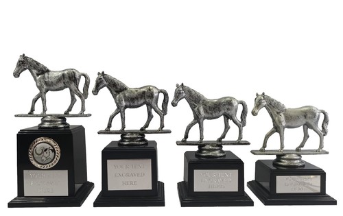 Personalised silver equestrian - personalised,