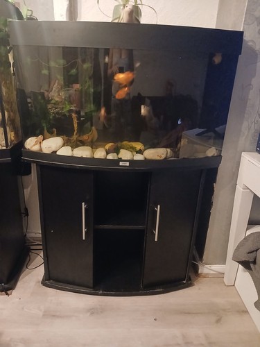 Jewel fish tank - jewel, more
