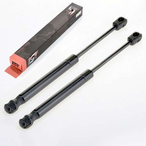 Gas pressure damper - 2x, hood