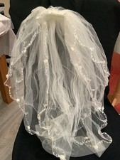 Lady’s Wedding Vail In An